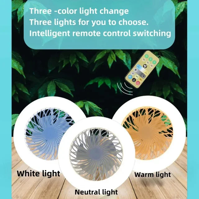 Ceiling Fan With Light