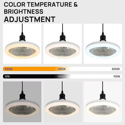 Ceiling Fan With Light